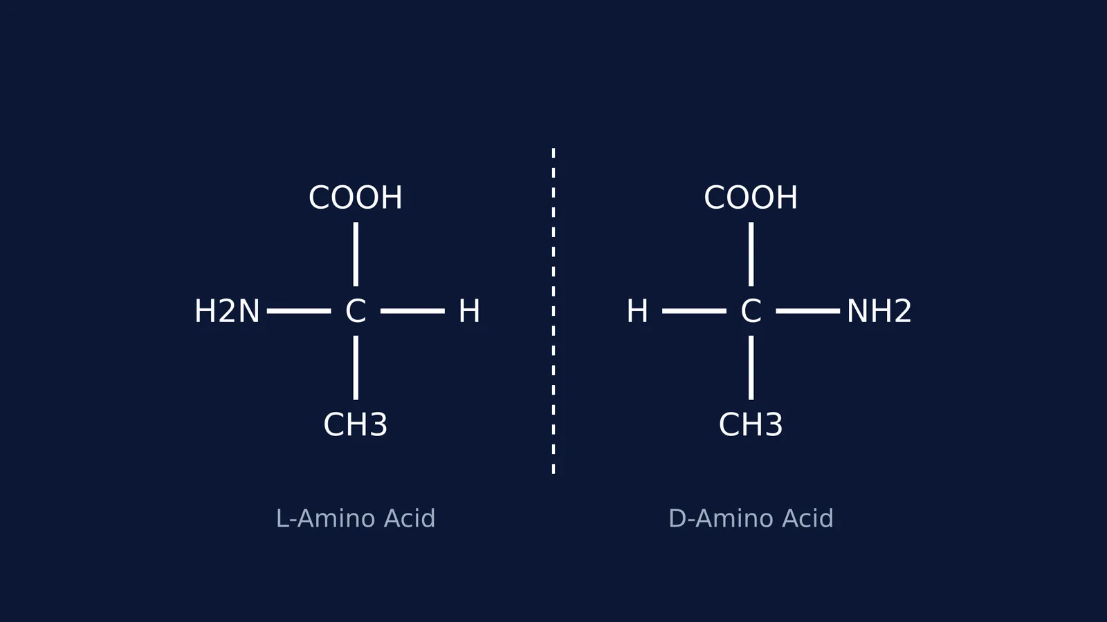 Chemical structures of L- and D-enantiomers of an amino acid