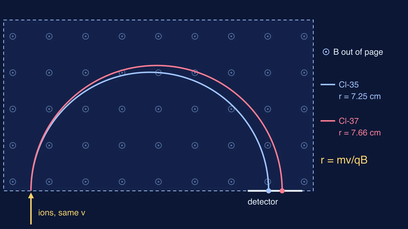 Chlorine-35 and chlorine-37 ions curving on two semicircles in a magnetic field