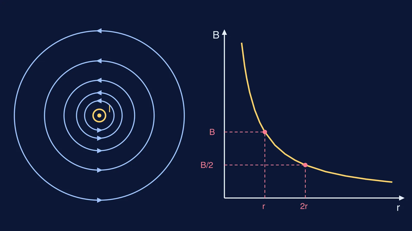 Circular field lines around a wire beside a graph of B falling as 1/r
