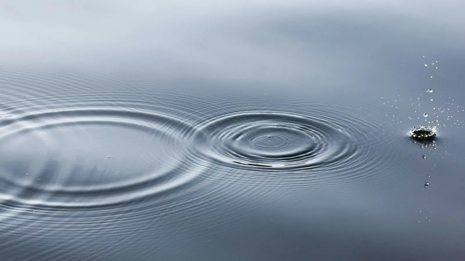 Circular ripples spreading out across calm water