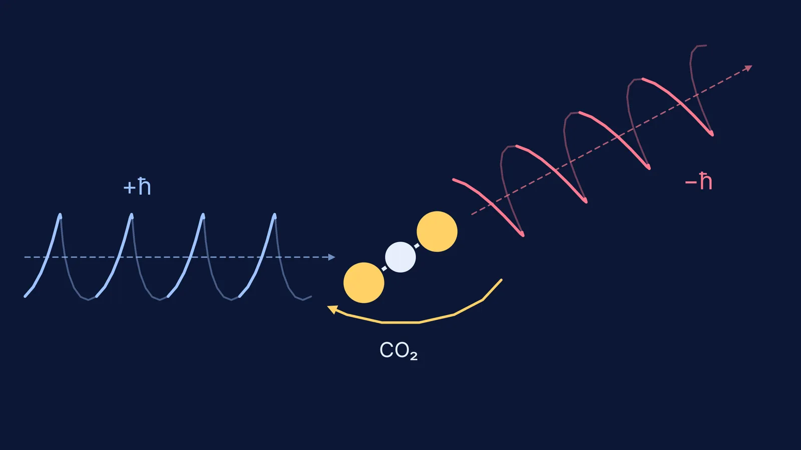 Circularly polarised photon scattering off a CO2 molecule with its spin reversed