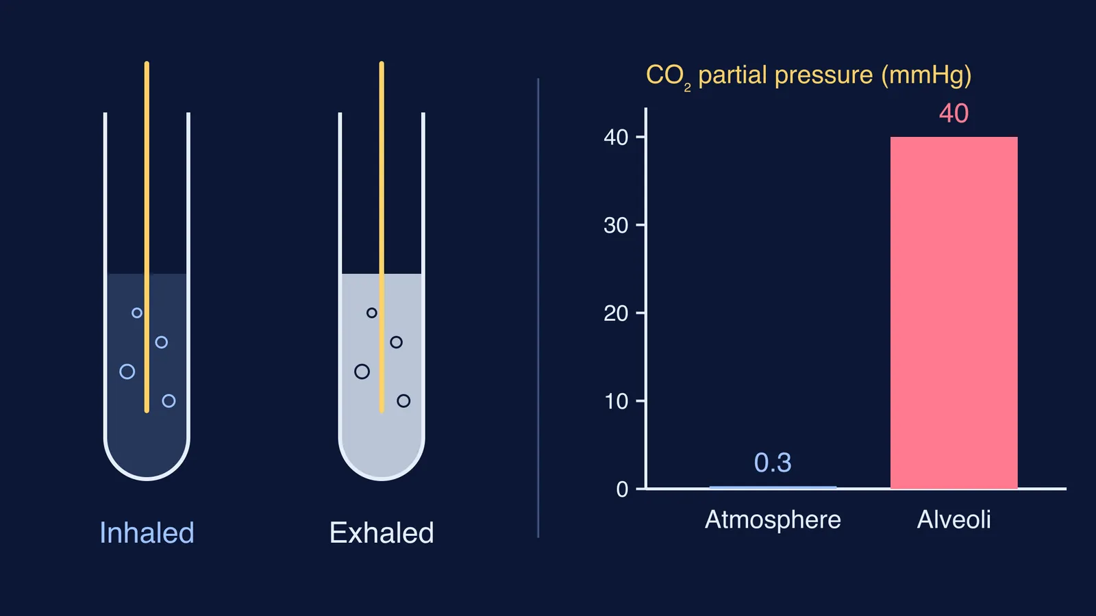 Clear limewater beside milky limewater, and a bar chart of carbon dioxide levels