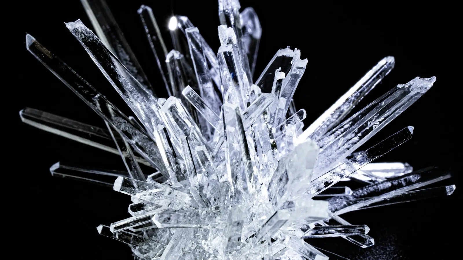 Clear needle-shaped crystals against a black background