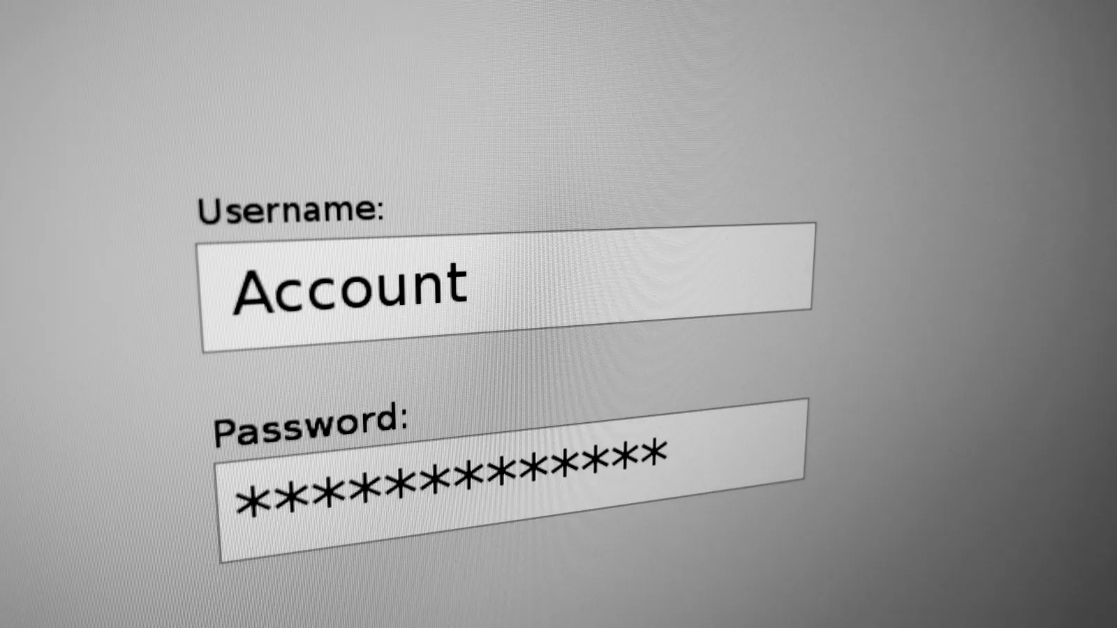 Close-up of a screen showing a username field and a masked password field