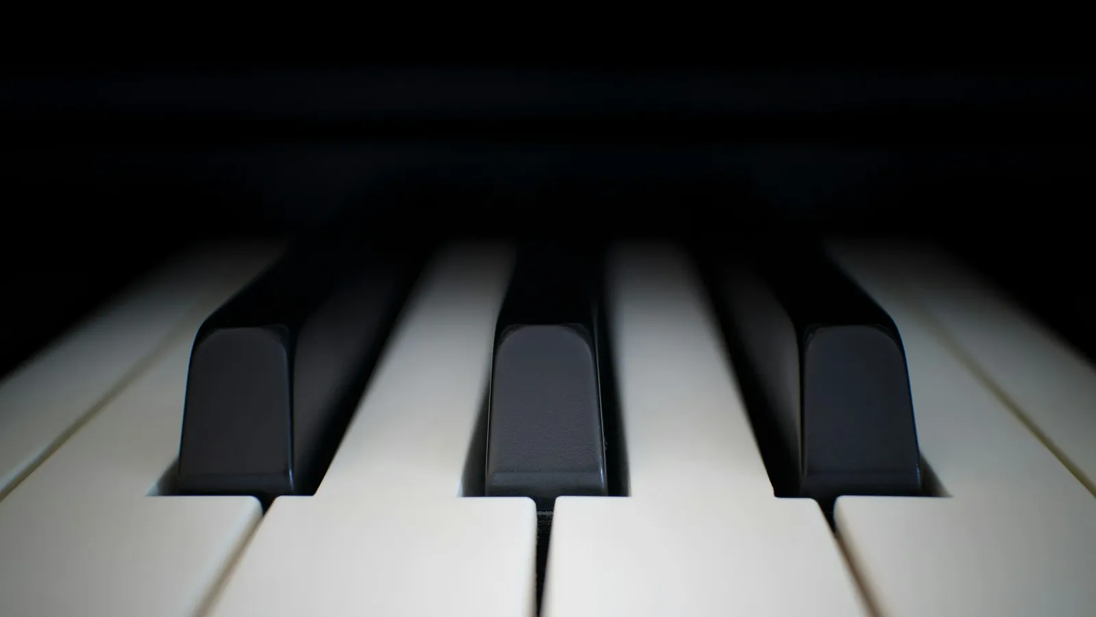 Close-up of black and white piano keys