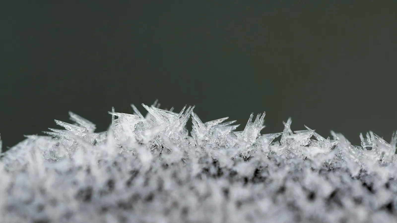 Close-up of needle-like ice crystals growing on a surface