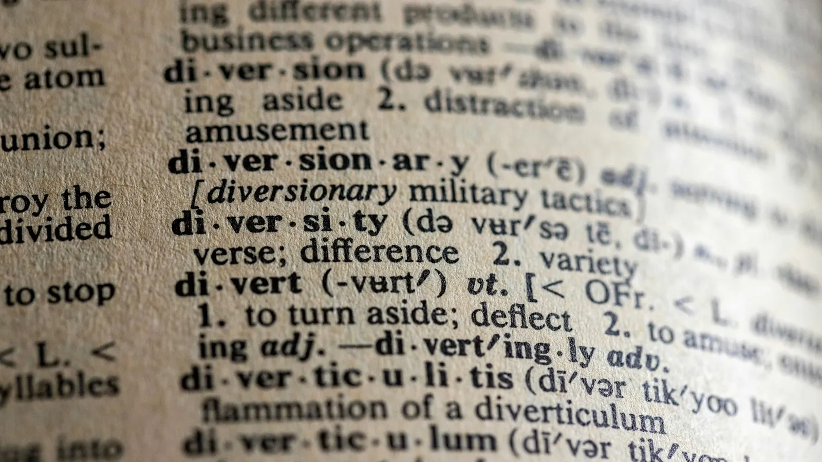 Close-up of word entries on an open dictionary page