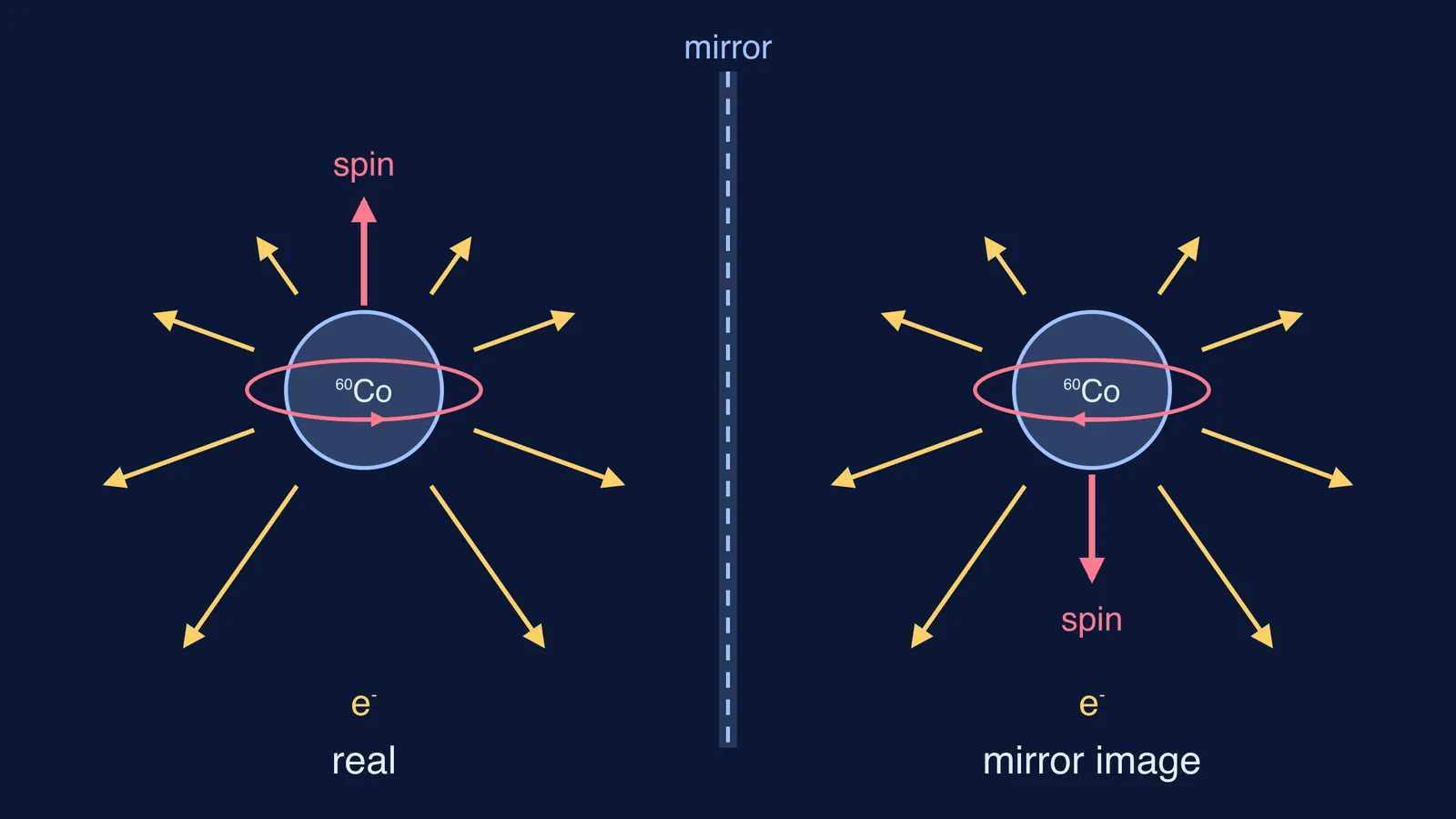 Cobalt-60 nucleus and its mirror image, with spin flipped but electrons not