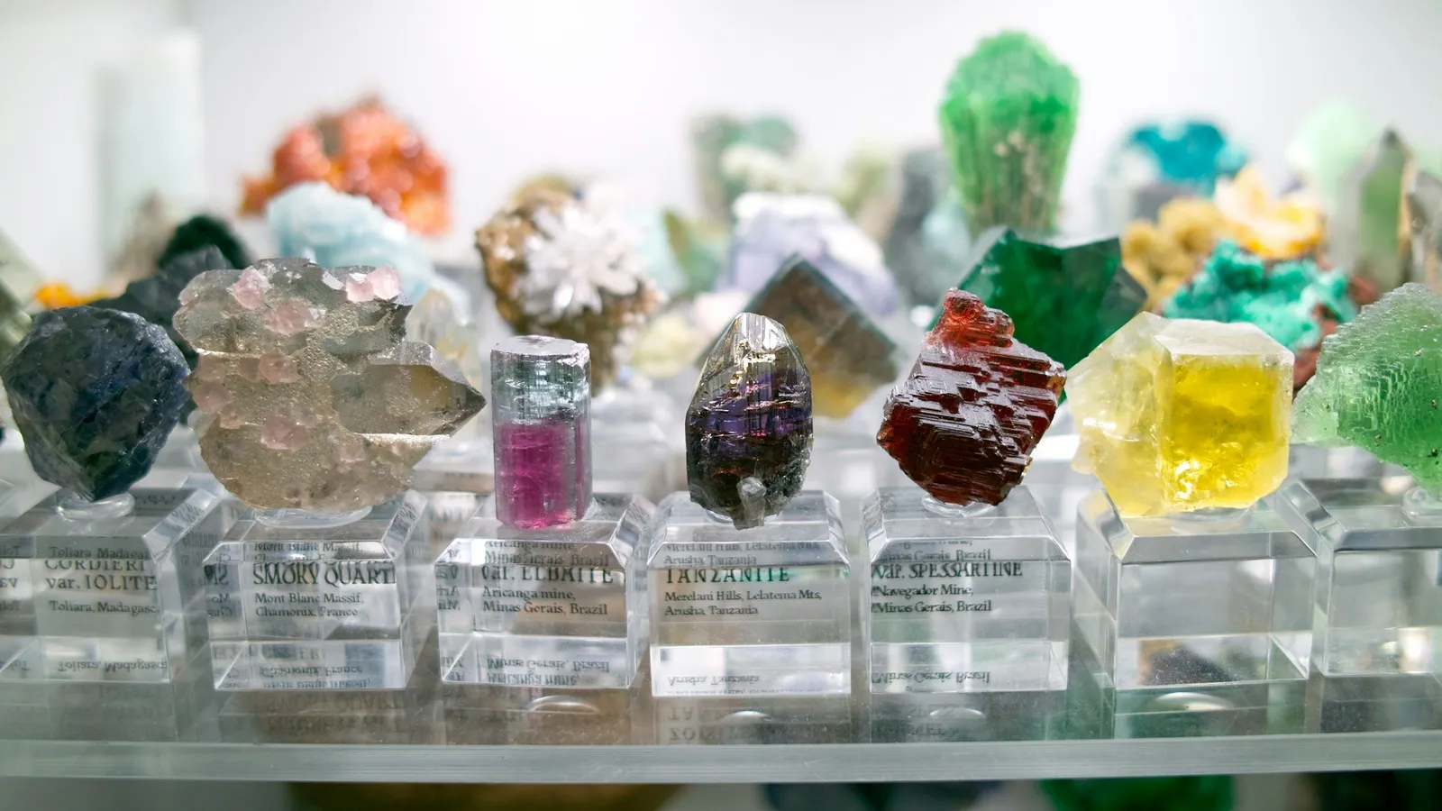 Coloured gemstones and crystals displayed on small glass stands