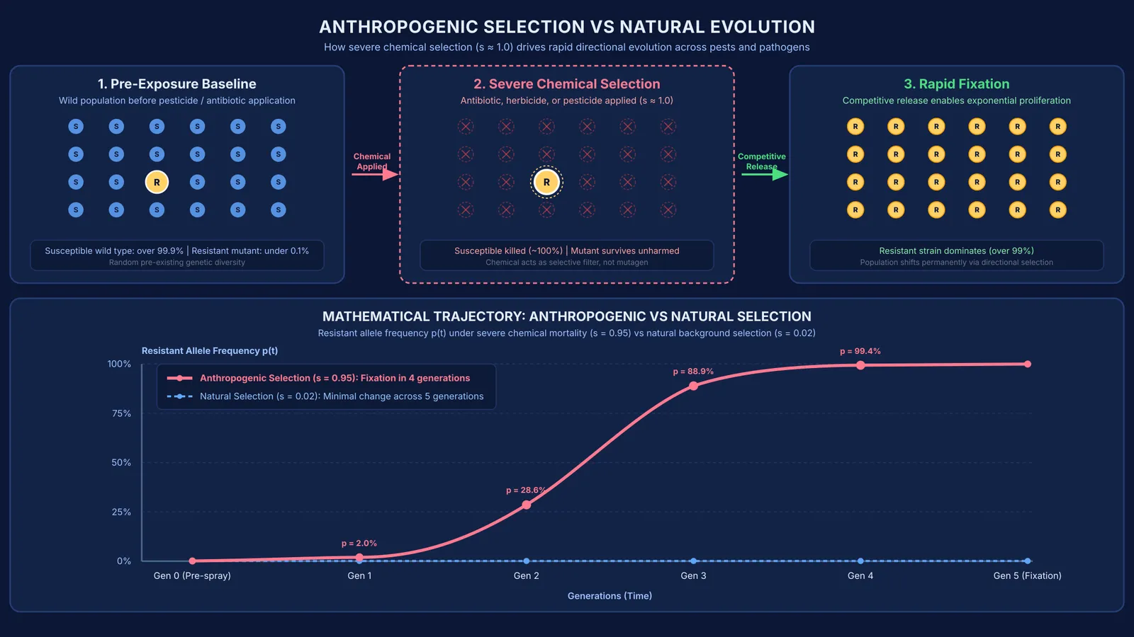 Comparison diagram showing rapid directional selection of resistant organisms under anthropogenic chemical pressure