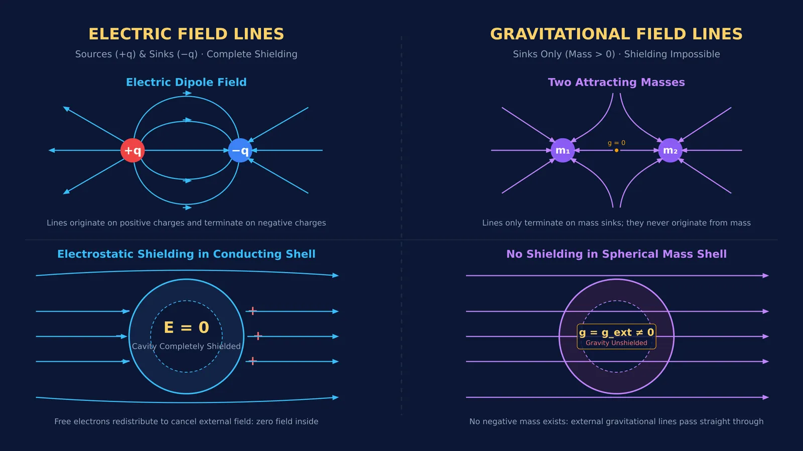 Comparison of electric and gravitational field lines and shielding in spherical shells