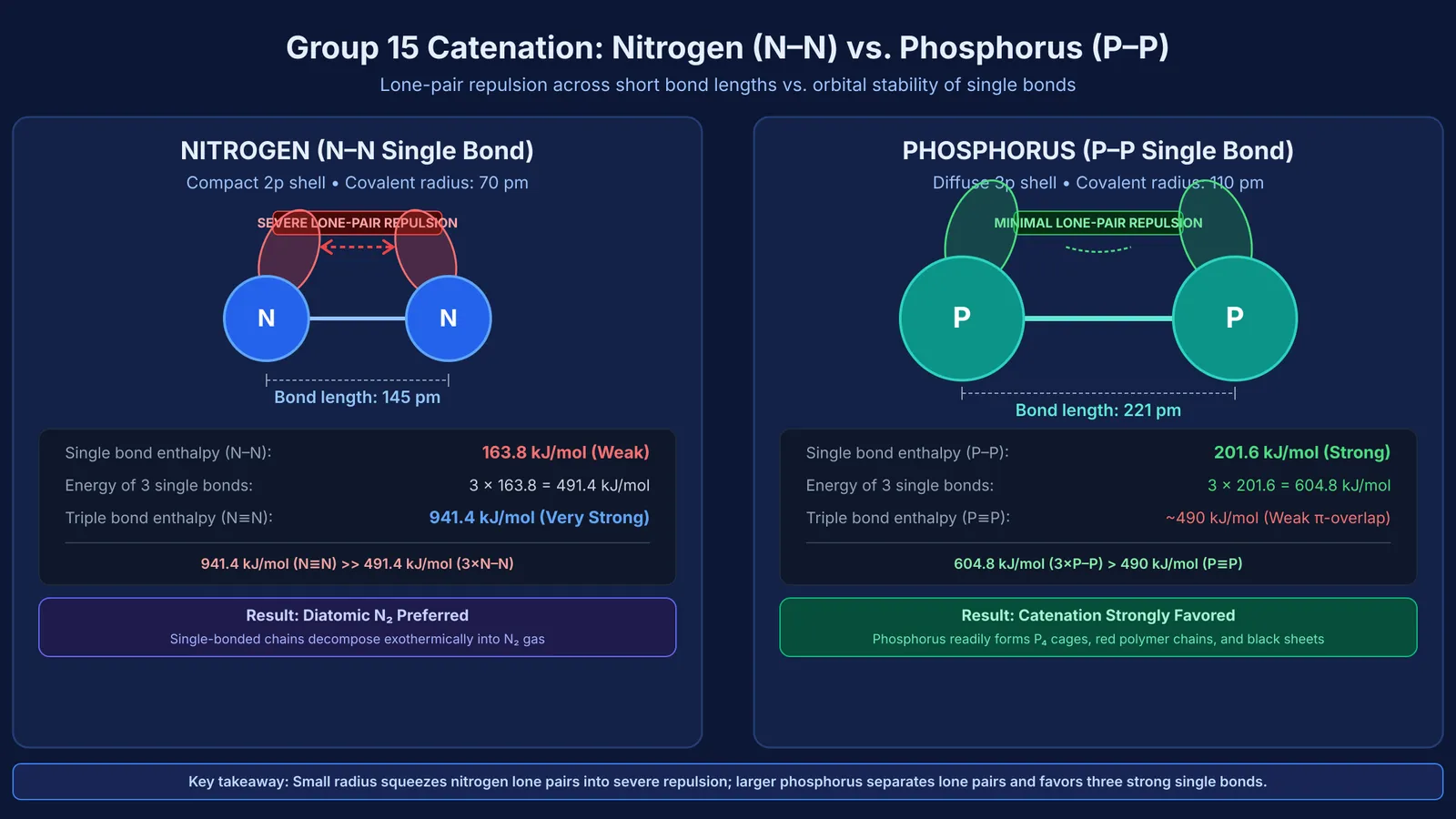 Comparison of lone pair repulsion and single bond strengths in nitrogen and phosphorus