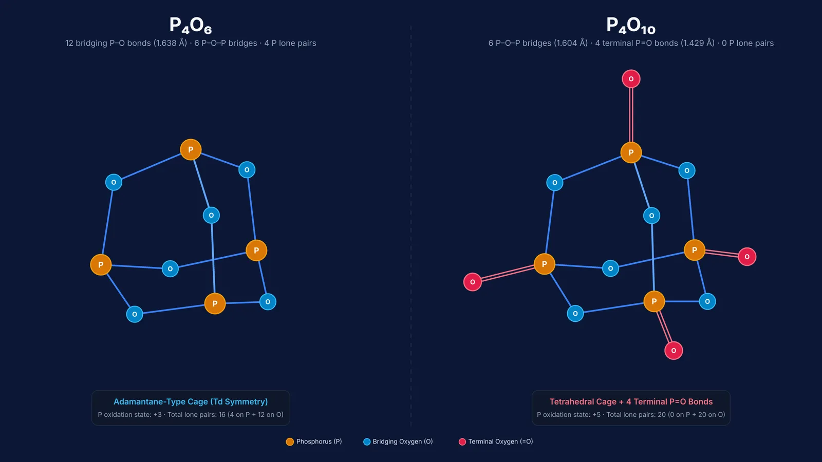 Comparison of P4O6 and P4O10 cage structures built on the phosphorus tetrahedron