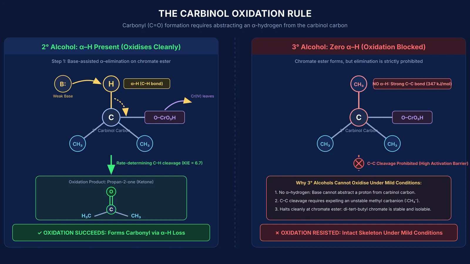 Comparison of secondary alcohol oxidation versus tertiary alcohol resistance to C-C bond cleavage