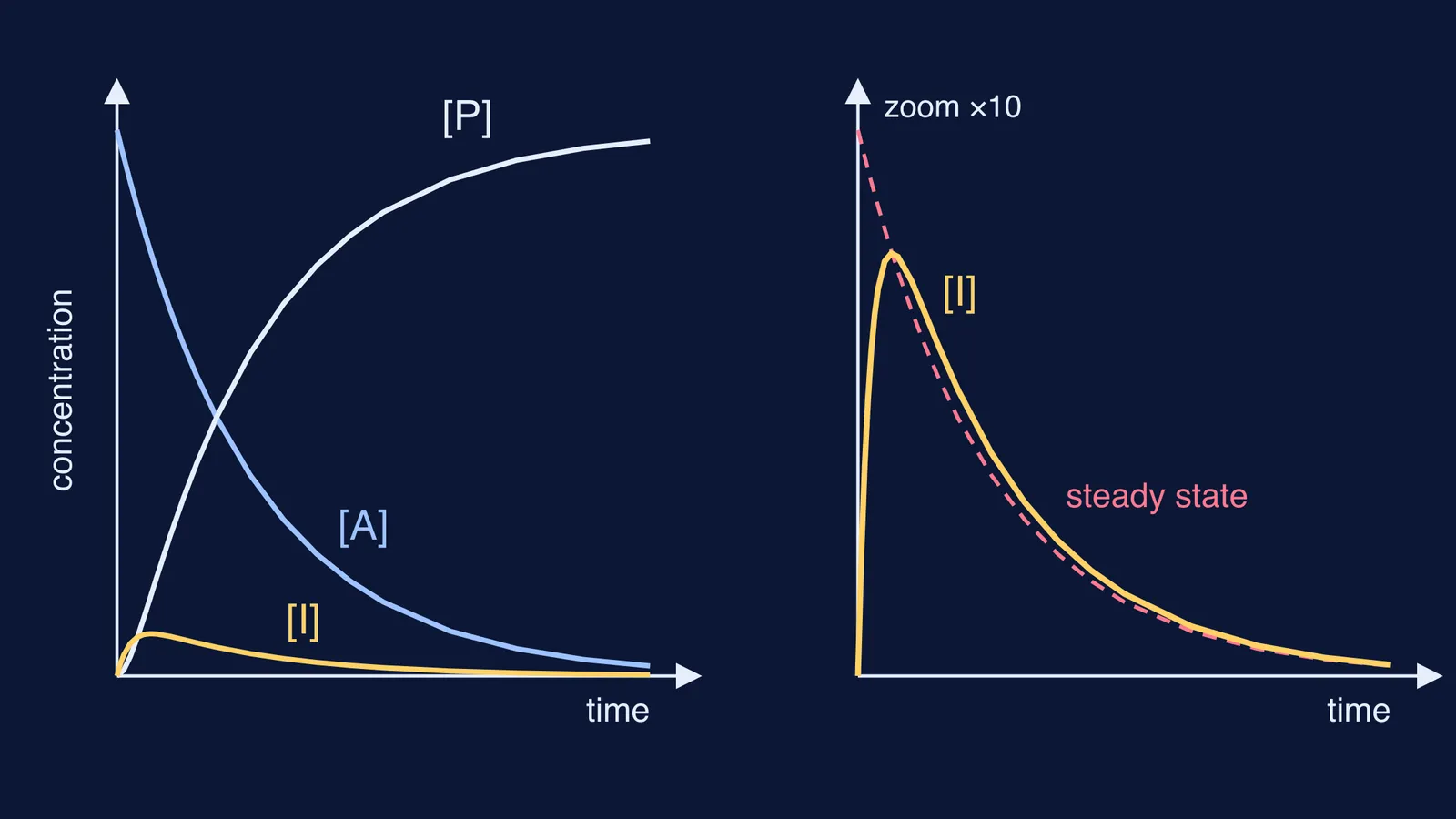 Concentration curves of reactant, intermediate and product, with the steady-state estimate