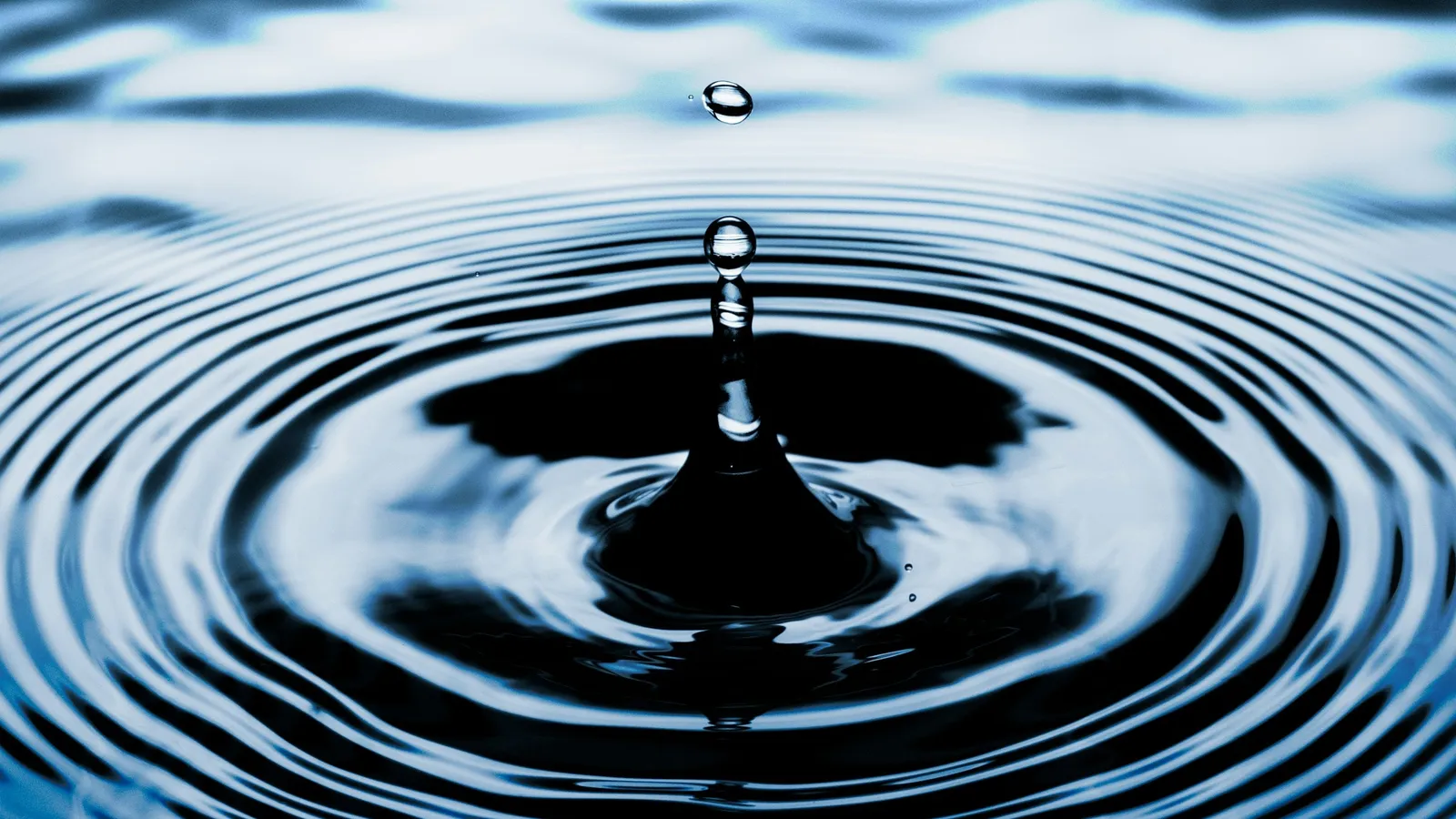 Concentric ripples spreading from a drop on dark water