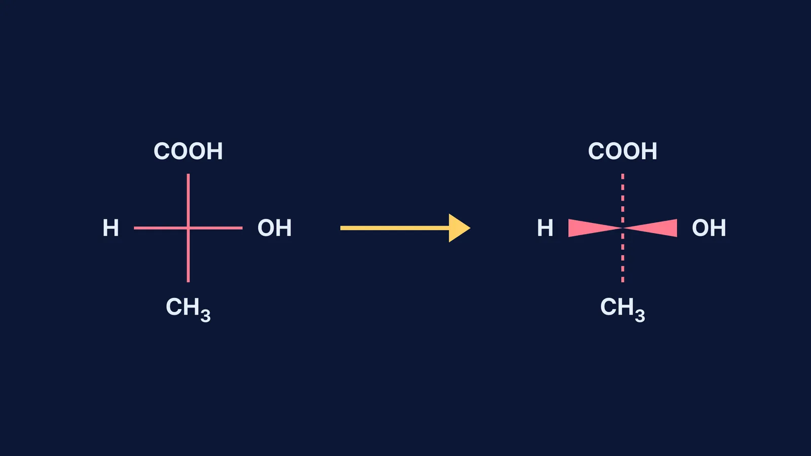Conversion of a chiral molecule from a Fischer projection to a wedge-dash diagram