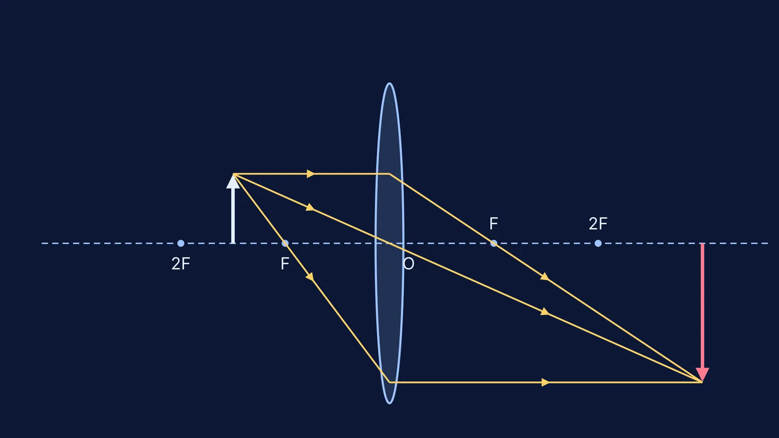 Convex lens ray diagram: object between F and 2F, inverted enlarged image beyond 2F