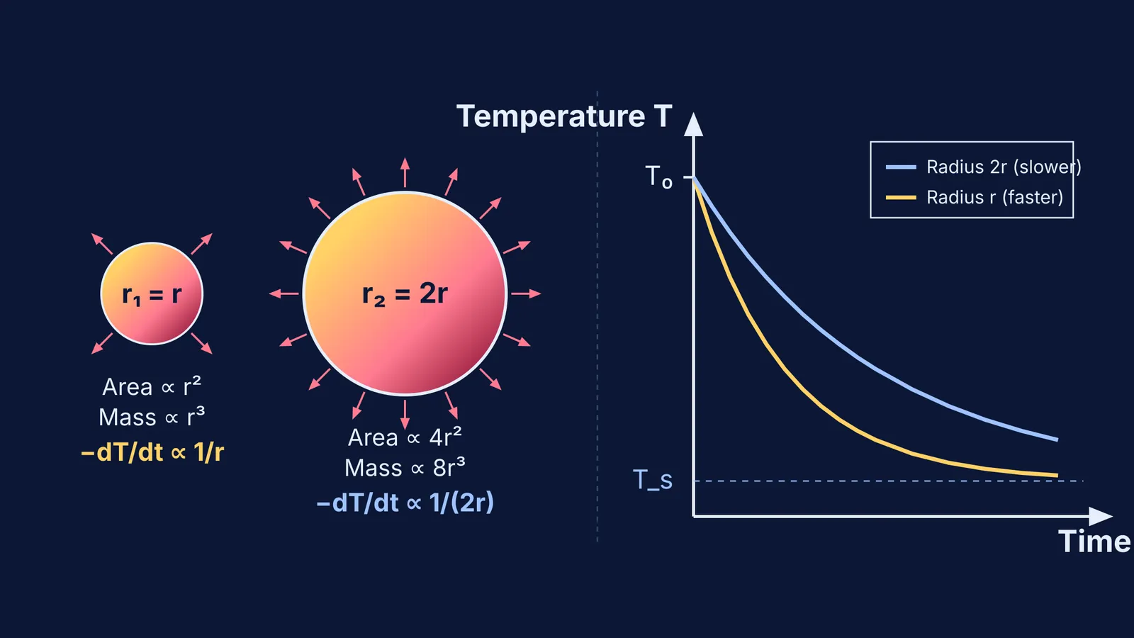 Cooling curves and radiative flux comparison for two spheres of differing radius
