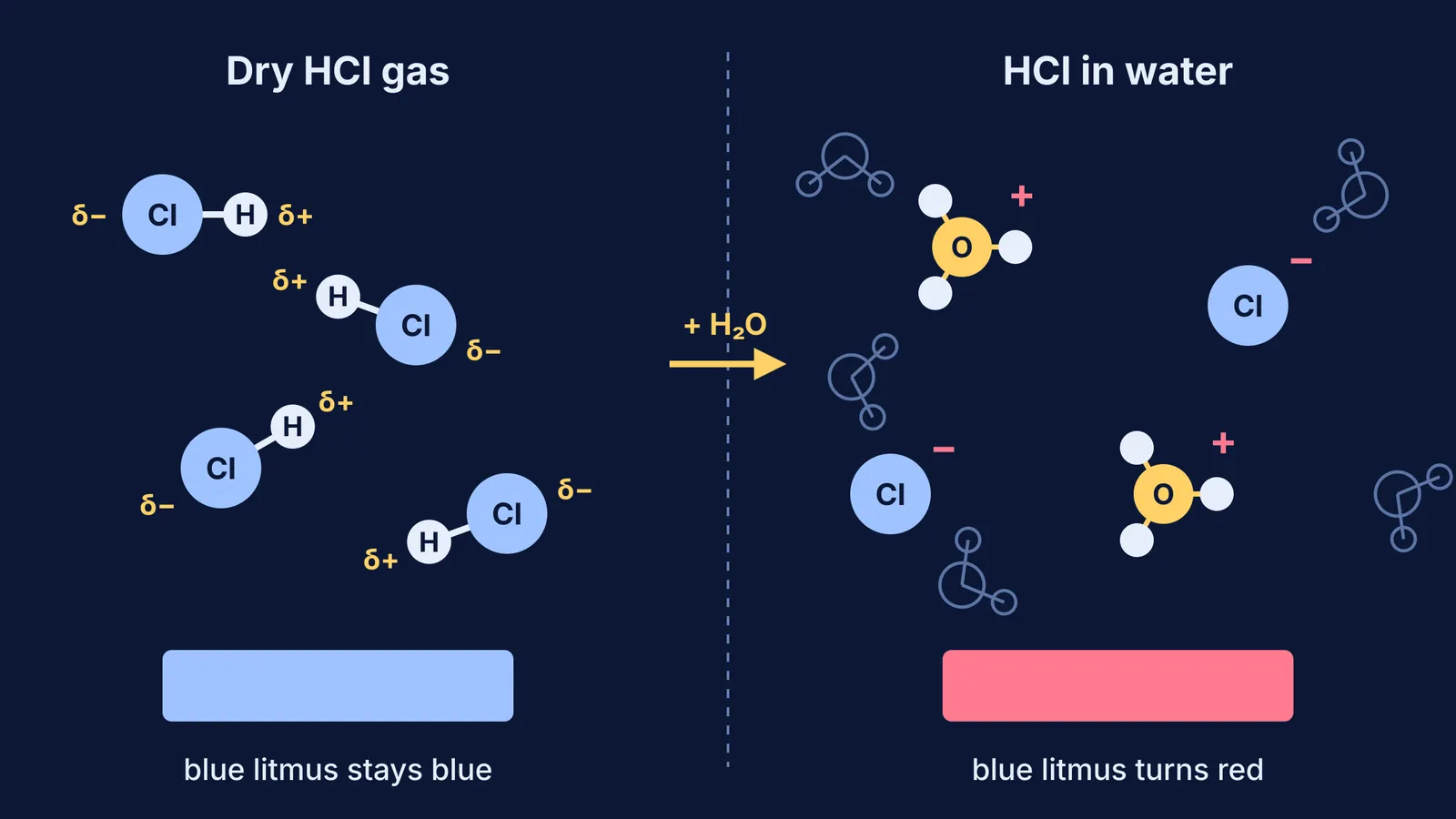 Covalent HCl molecules beside hydronium and chloride ions in water, with litmus strips