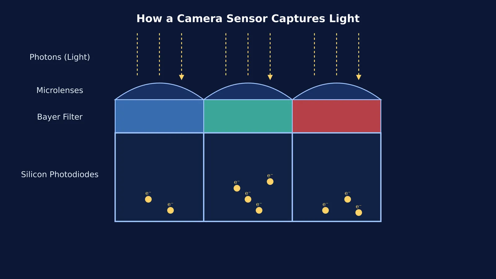 Cross-section diagram of a camera sensor showing light, microlenses, filters and electrons.