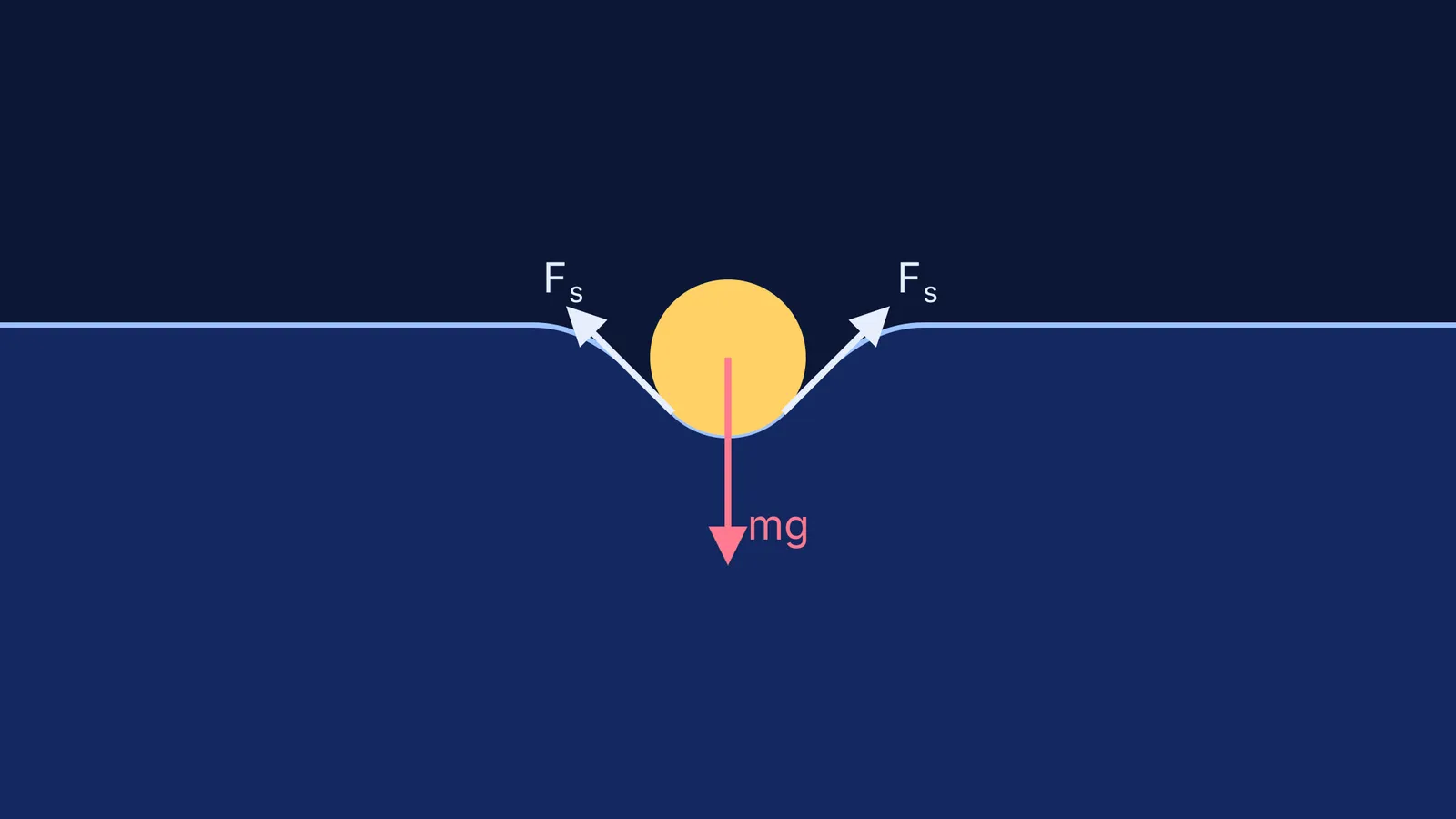 Cross-section diagram of a floating needle showing surface tension forces.