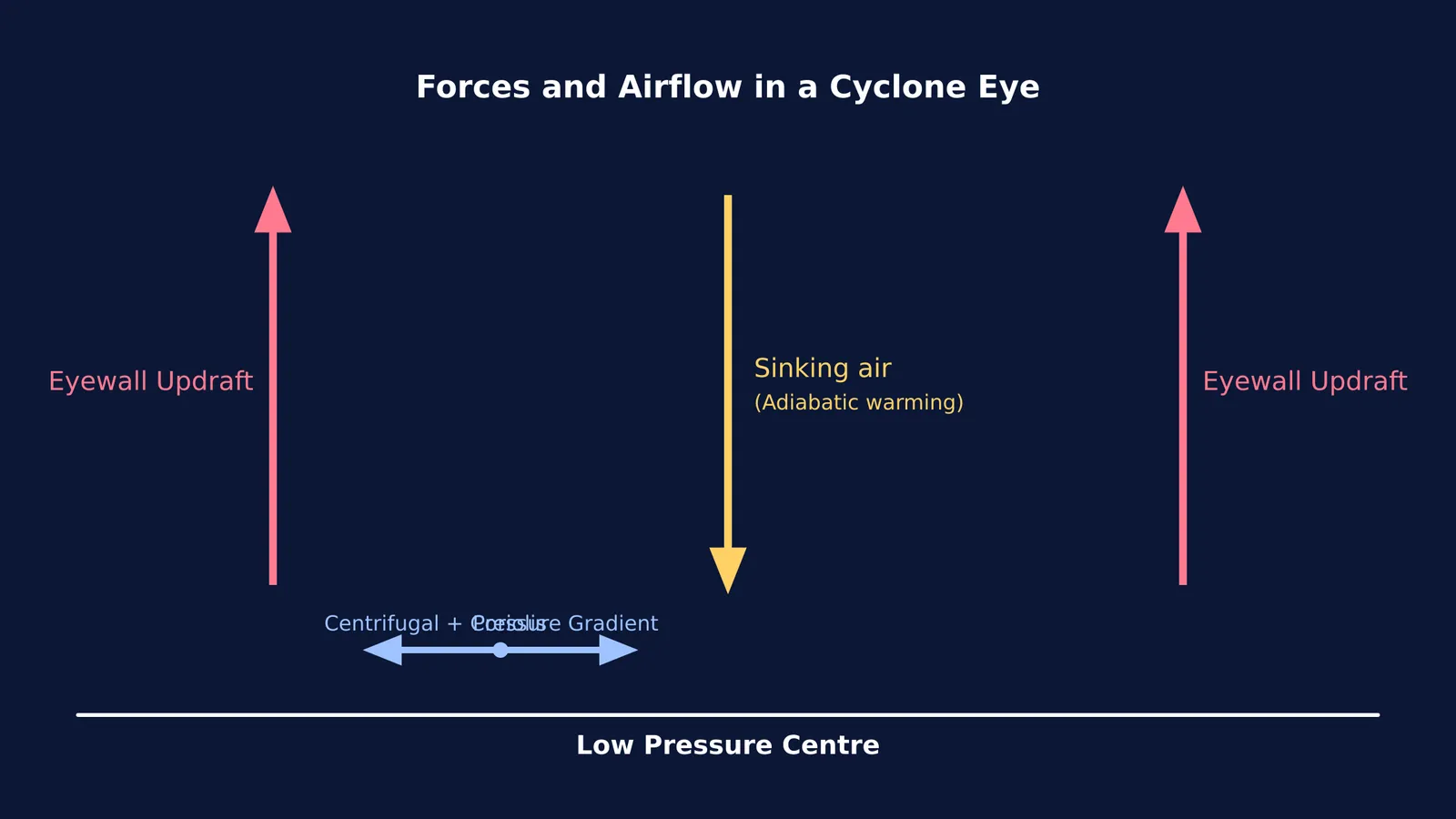 Cross-section of a cyclone showing sinking air in the center and gradient wind balance at the eyewall