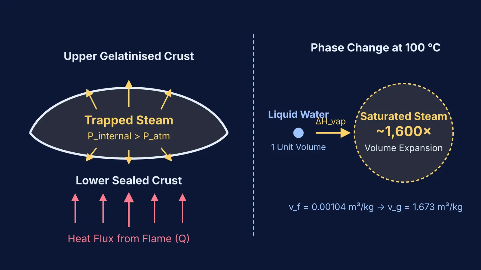 Cross-section of a puffed chapati showing steam expansion between two sealed crusts.