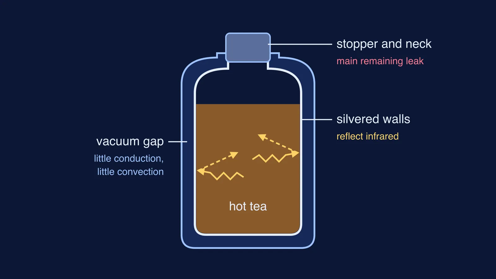 Cross-section of a vacuum flask with tea, vacuum gap and silvered walls