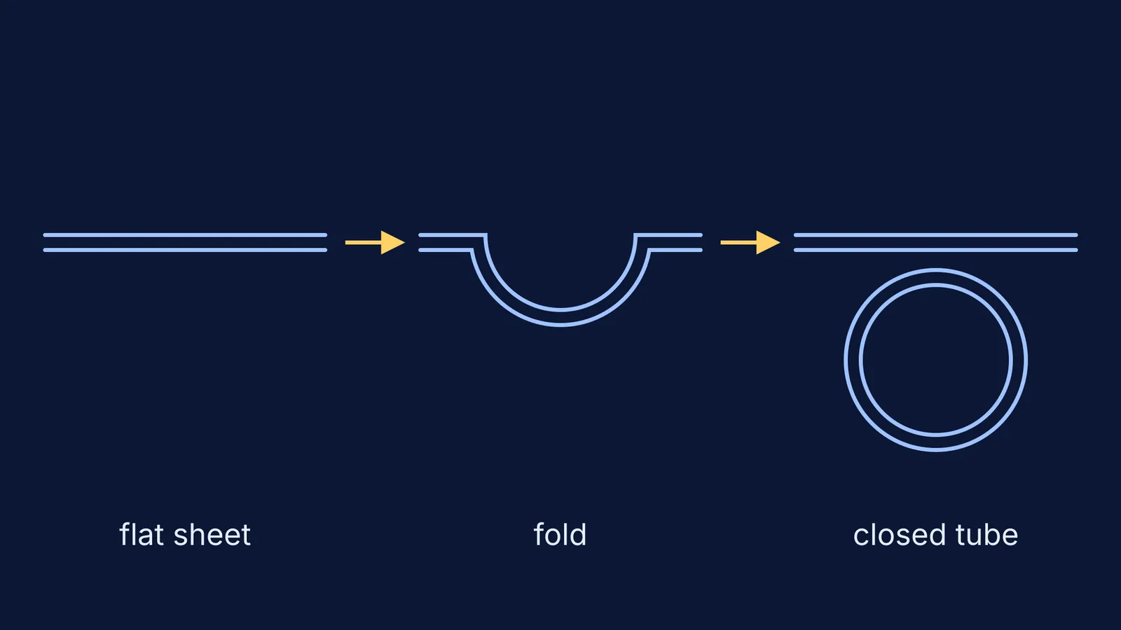 Cross-sections of a tissue sheet folding into a groove and then a closed tube