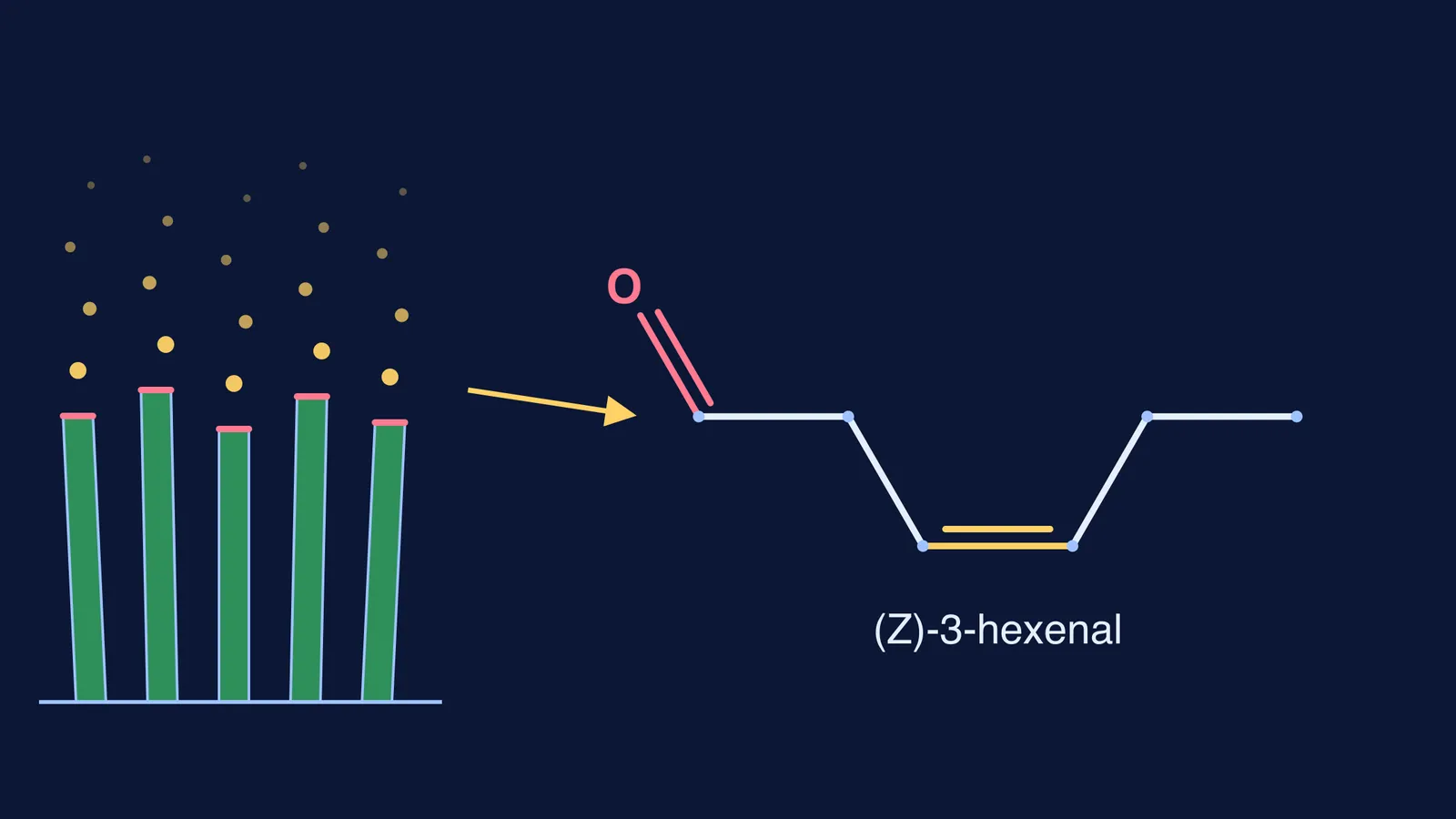 Cut grass blades releasing molecules beside the skeletal formula of (Z)-3-hexenal