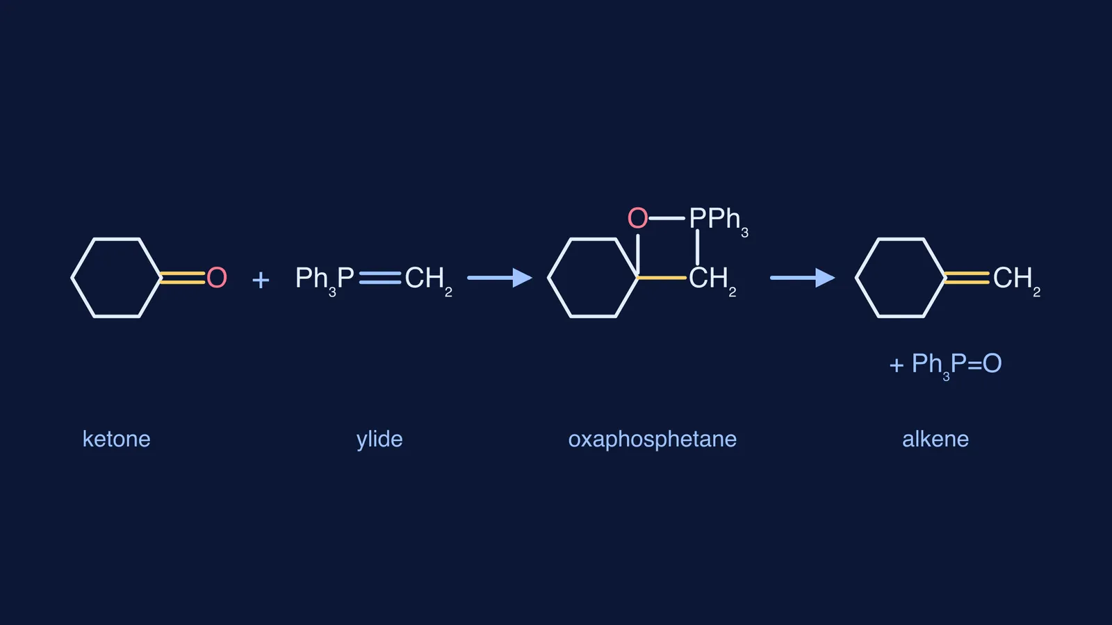Cyclohexanone and a phosphorus ylide forming methylenecyclohexane via an oxaphosphetane