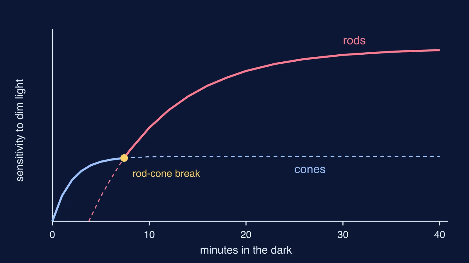 Dark adaptation curve: cones level off early, rods take over and keep rising