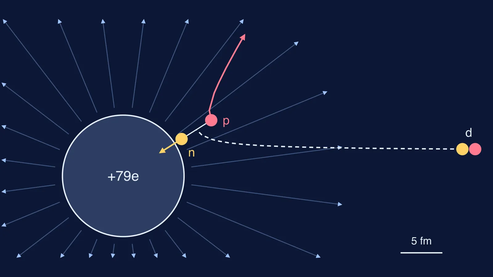 Deuteron near a gold nucleus: neutron captured, proton pushed away