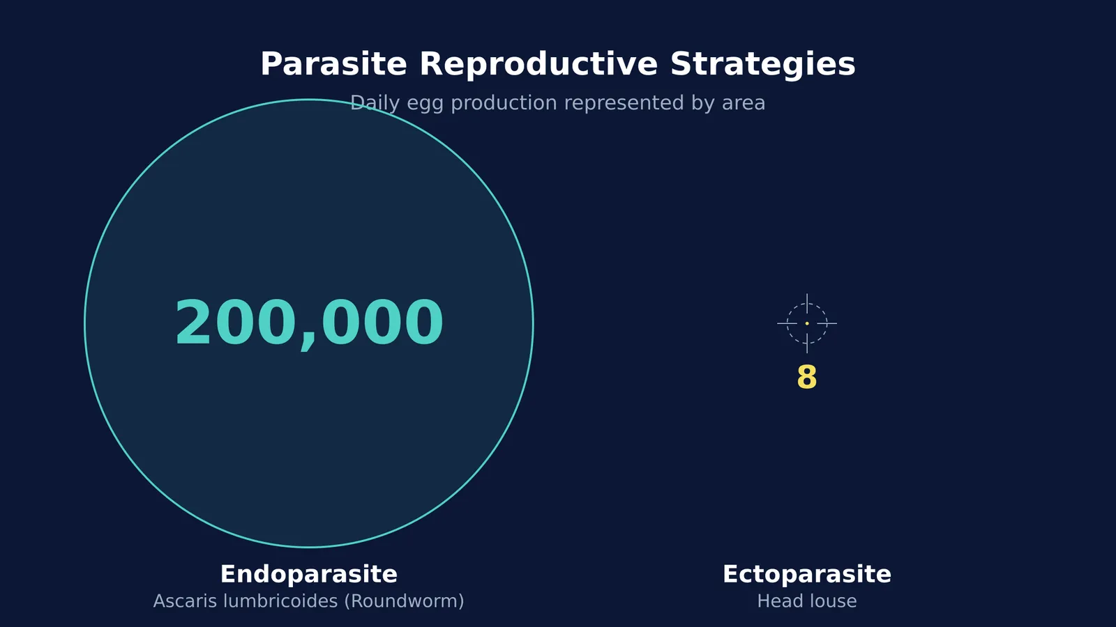 Diagram comparing 200,000 eggs of a roundworm to 8 eggs of a head louse.