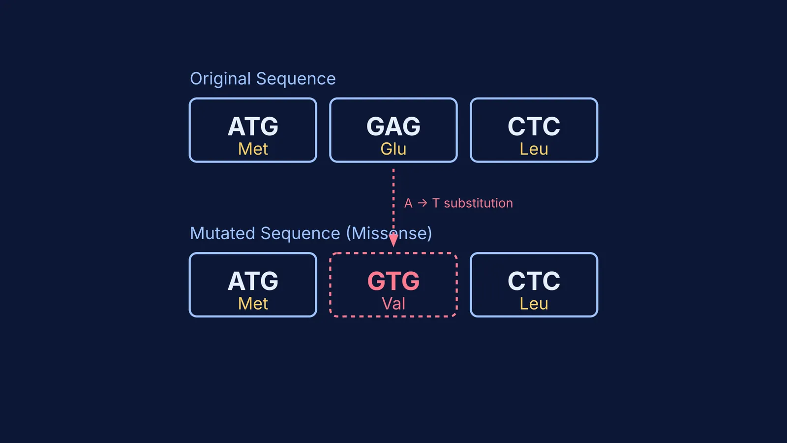 Diagram comparing an original DNA sequence to a mutated sequence.