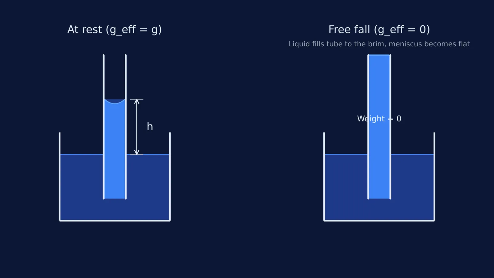 Diagram comparing capillary rise at rest (height h) to free fall (liquid fills the tube to the top).