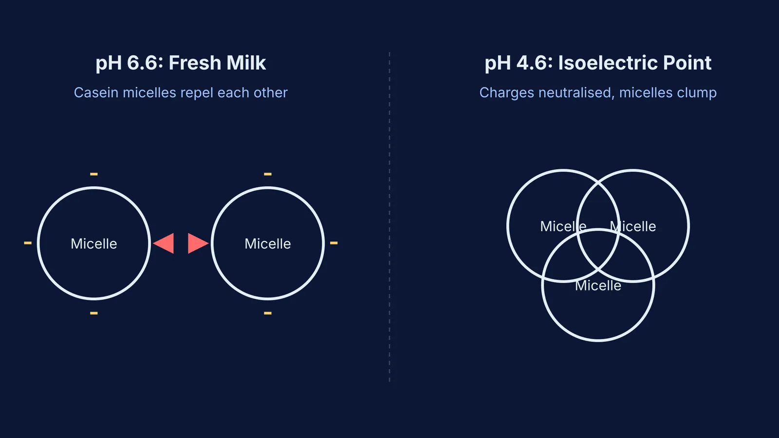 Diagram comparing casein micelles in milk at pH 6.6 with negative charges repelling, to pH 4.6 where neutral micelles clump together.
