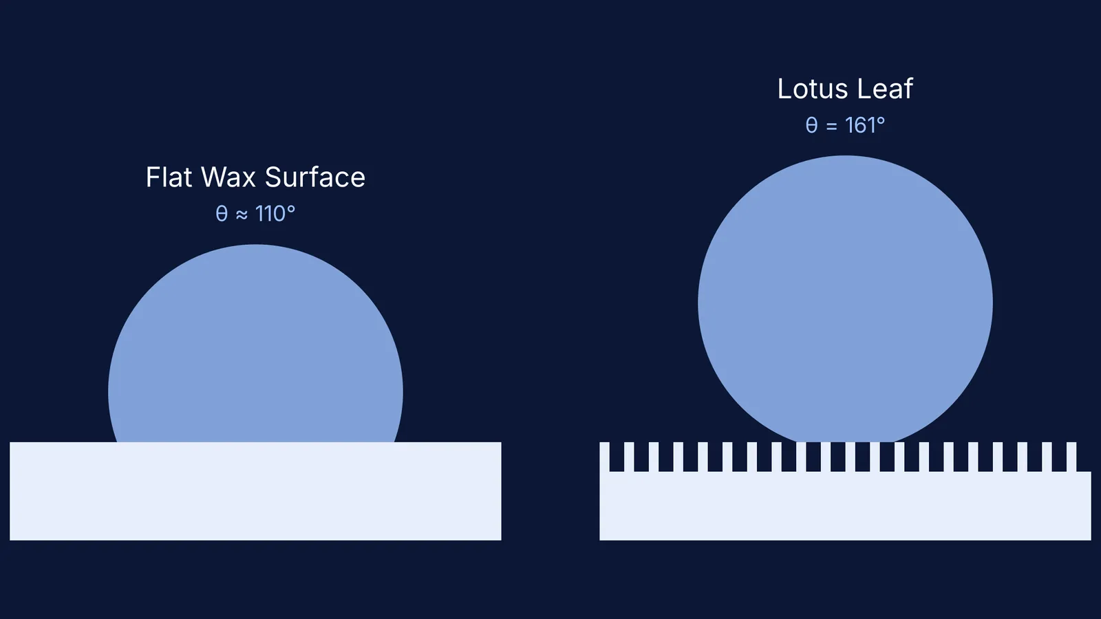 Diagram comparing contact angle on flat wax versus a rough lotus leaf