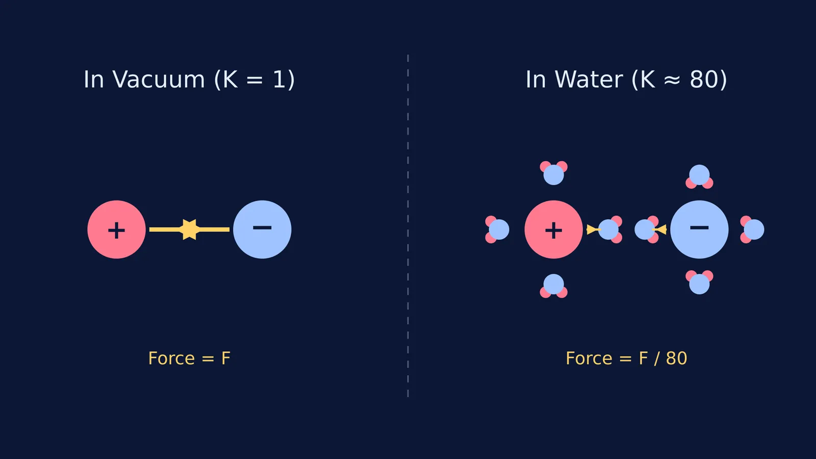 Diagram comparing Coulomb force between two ions in vacuum and in water