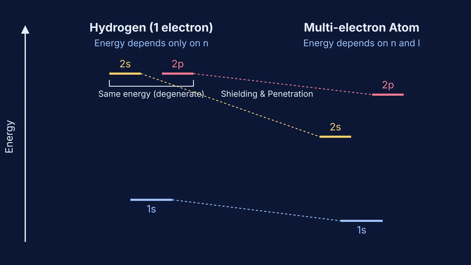Diagram comparing energy levels of 2s and 2p in hydrogen vs multi-electron atoms
