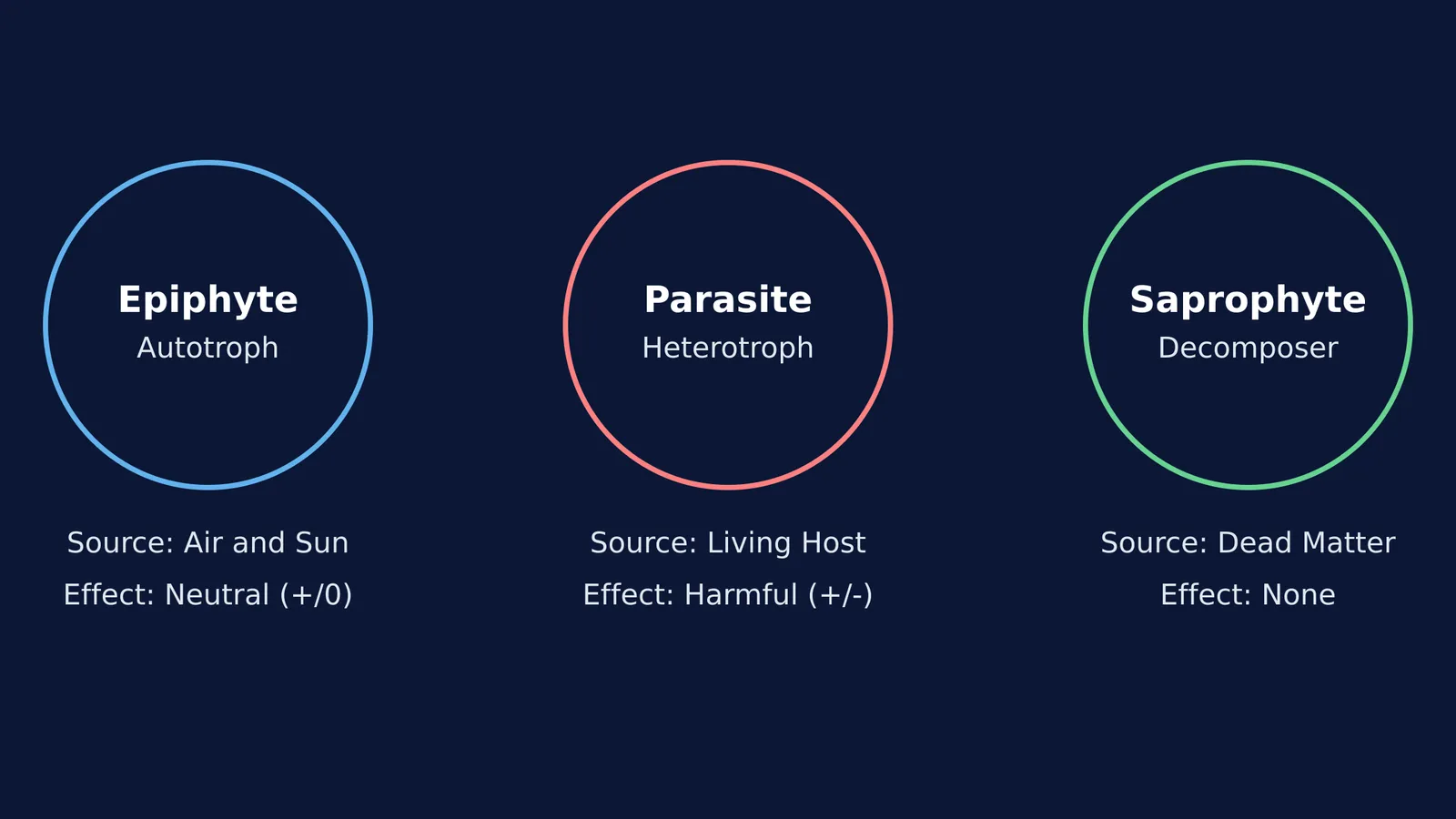 Diagram comparing epiphyte, parasite, and saprophyte nutrition modes