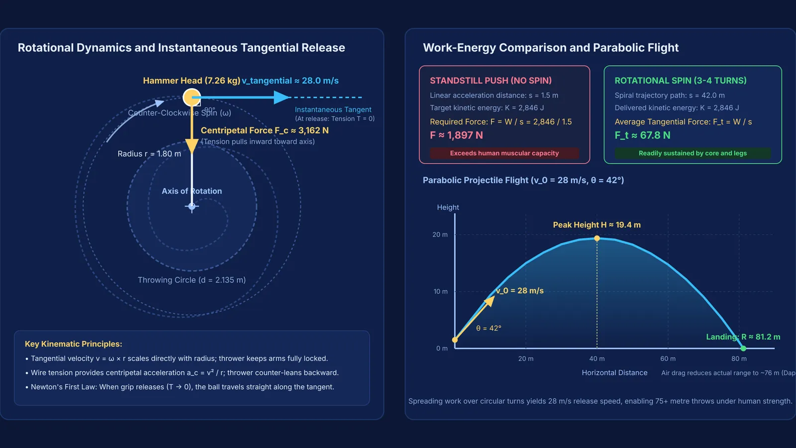 Diagram comparing hammer throw circular orbit, work-energy forces, and parabolic trajectory