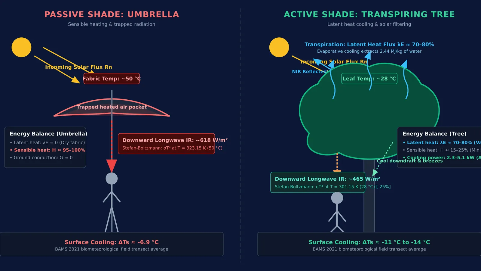 Diagram comparing heat fluxes and thermal radiation under an umbrella versus a tree canopy