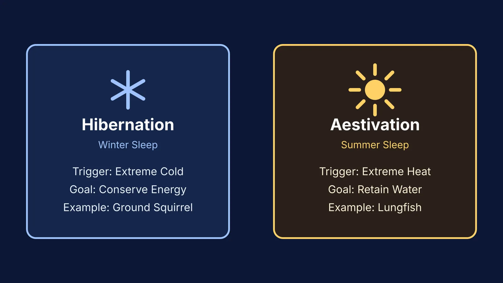 Diagram comparing hibernation and aestivation triggers and examples