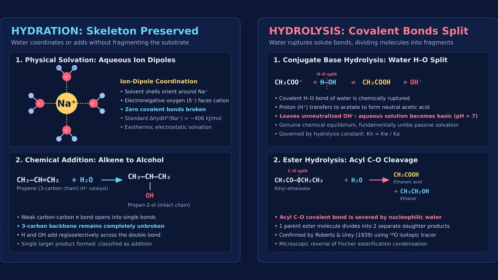 Diagram comparing hydration intact structures and hydrolysis bond cleavage reactions