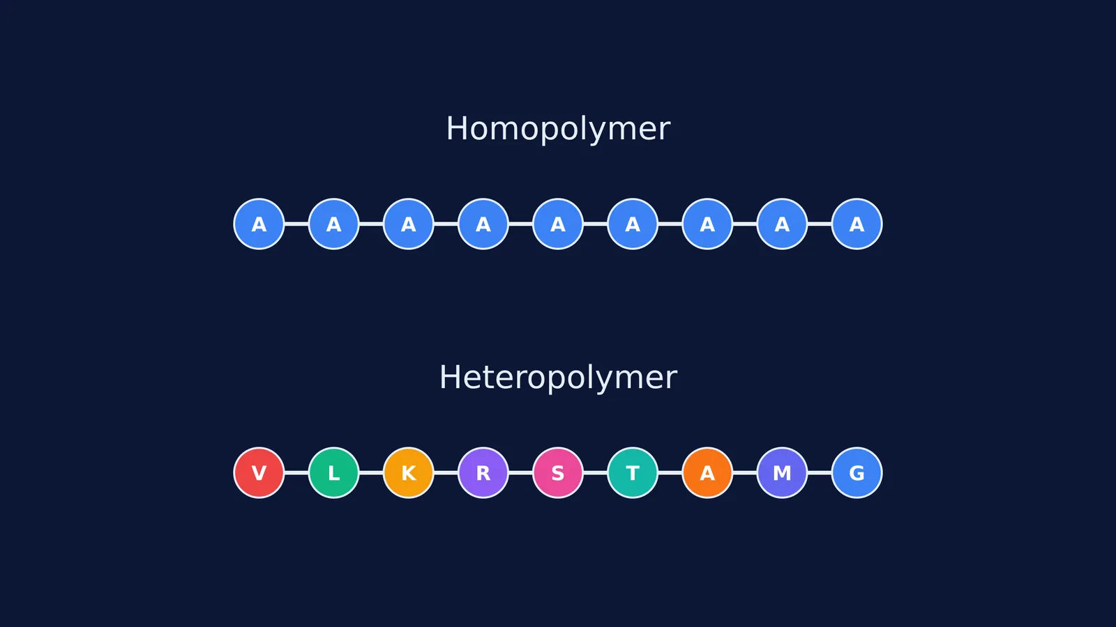 Diagram comparing identical units of a homopolymer with varied units of a heteropolymer
