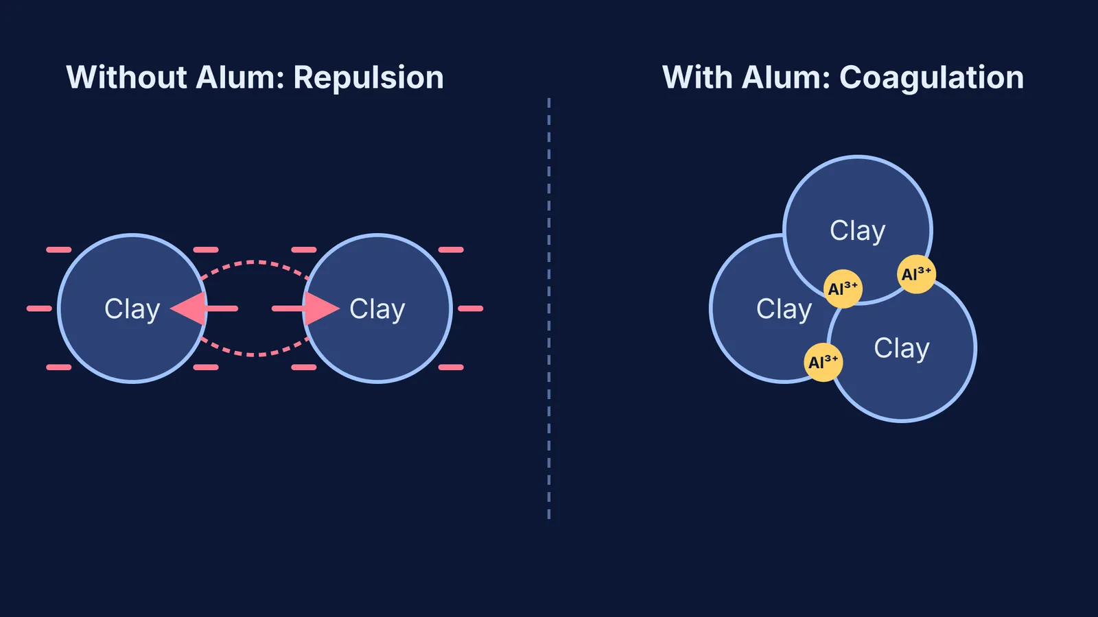 Diagram comparing negatively charged clay particles repelling versus Al3+ ions causing them to coagulate