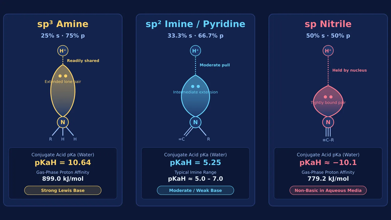 Diagram comparing nitrogen orbital hybridisation, lone-pair extension, and basicity across sp3, sp2, and sp compounds.