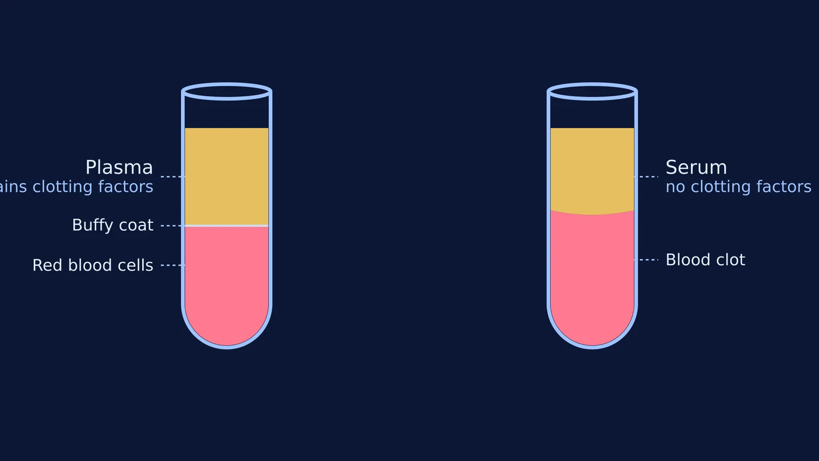 Diagram comparing plasma and serum in test tubes